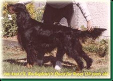 CH. Rockplenty's (am aust ch) quest for roses