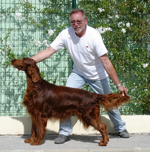 Publication : The red love