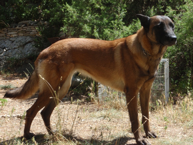 Fara du Hameau de Valbonne