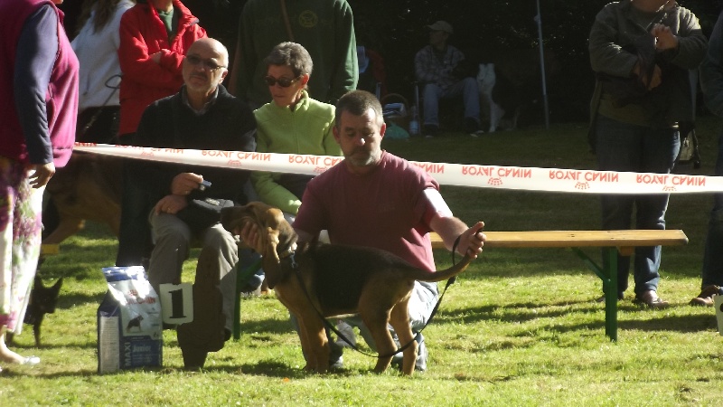 Publication : Artemise D'Aumencourt 