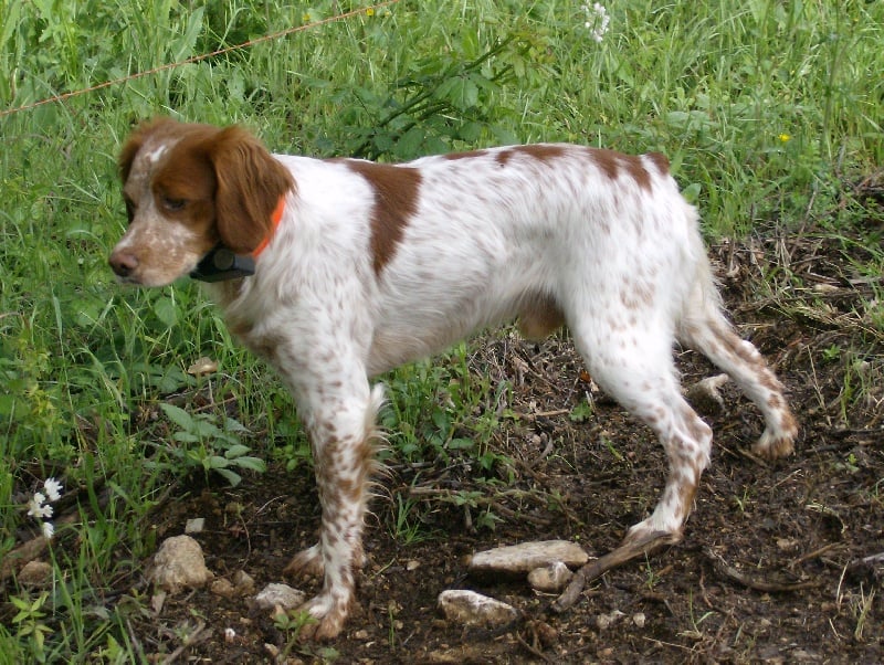 Publication : De La Ferme Du Claus Auteur : DEJULY CHARLES