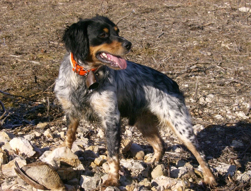 Publication : De La Ferme Du Claus Auteur : DEJULY CHARLES