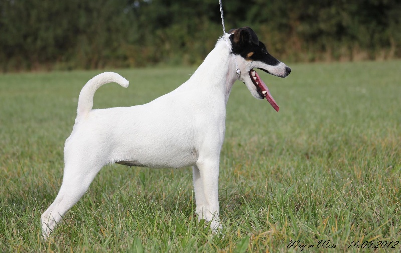 Publication : Des Chasseurs Du Temps Auteur : Sophie Venard