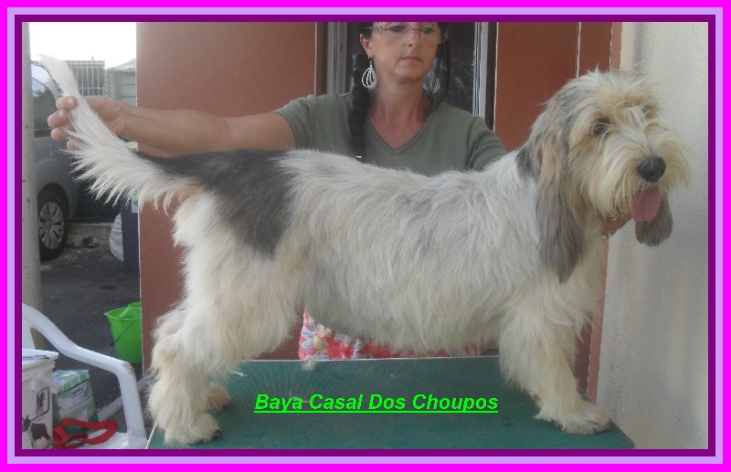 Publication : du Rocher des deux Frères 