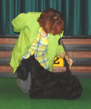 CH. de magic illusion Dali