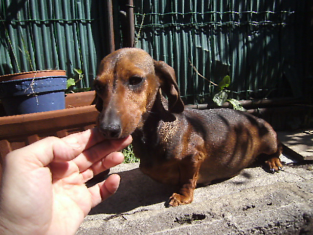 Publication : des petits scampis 