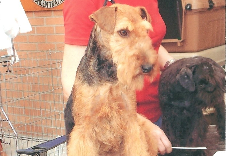 Publication : du jardin d'Arcana 