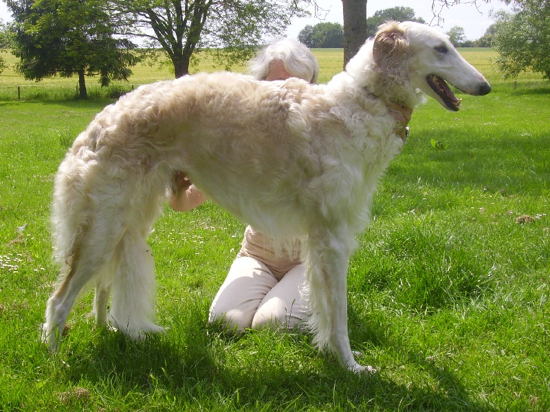 Enéha d'Aleksandrovsh