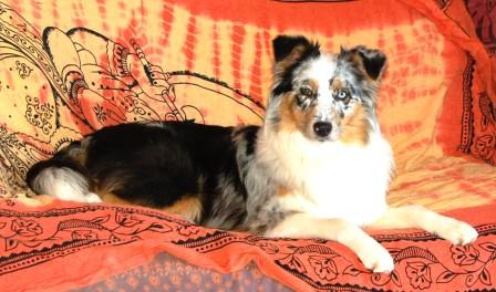 Auteur : Hélène Lamerenx