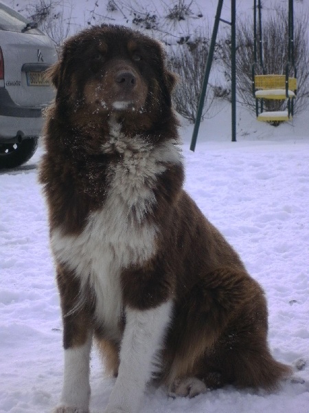 Publication : de l'Empreinte de Fanny 