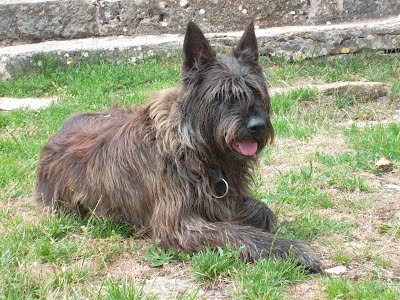 Publication : Du Mas Nau Du Larzac Auteur : Christine Thelen