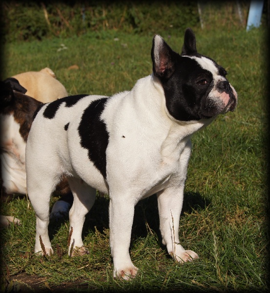 F'channel (Sans Affixe)