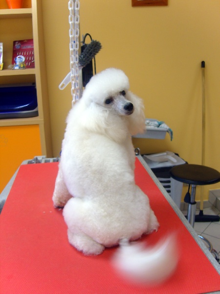 Awel mad (Sans Affixe)