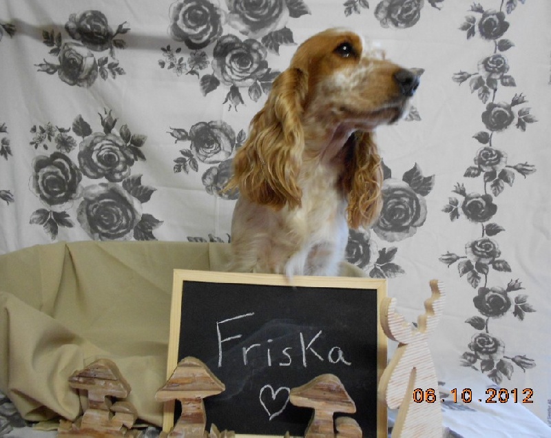 Friska (Sans Affixe)