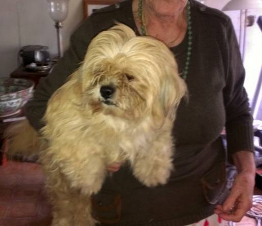 Publication : De la garde adhémar Auteur : H. MASSET