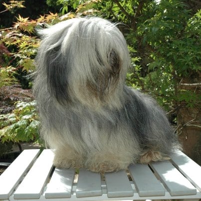 B'fÔ De la garde adhémar