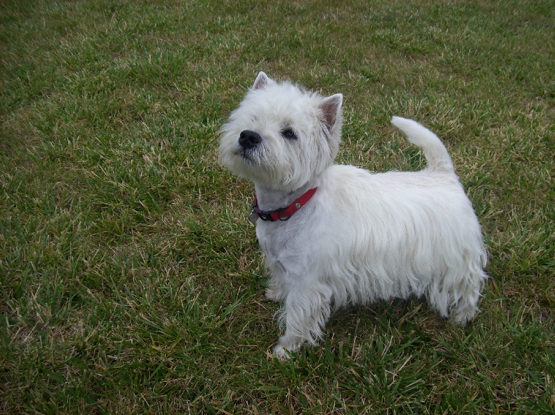 Floupy des vents d'Eole