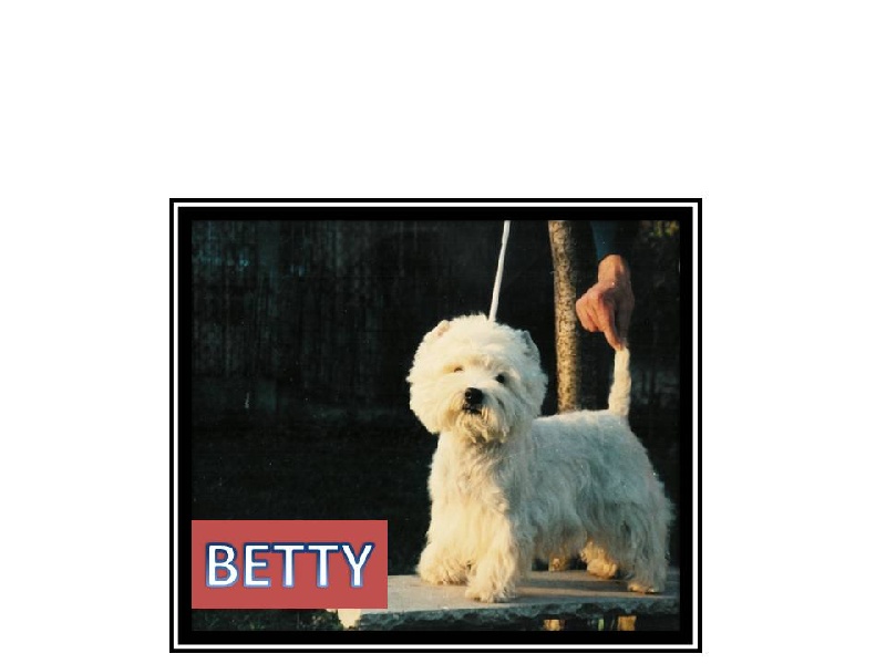 Betty (Sans Affixe)