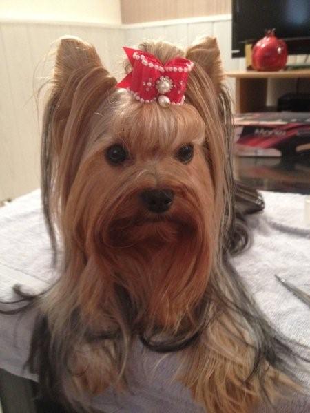 du Puy Doré Fee morgane