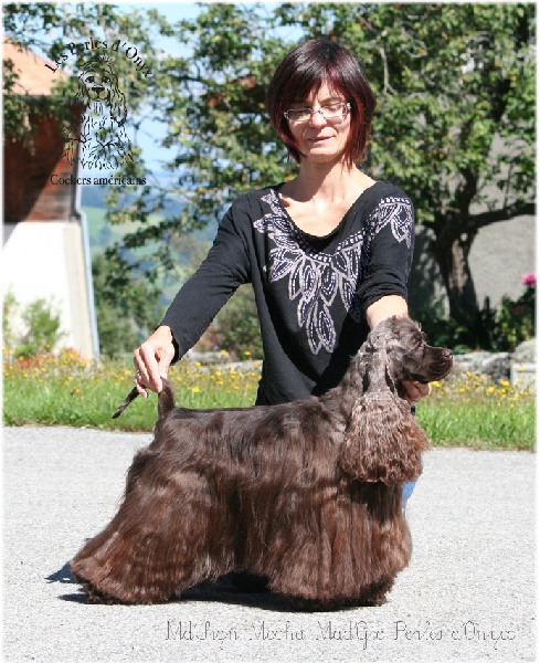 Publication : des Perles d'Onyx Auteur : Frédéric Genevey