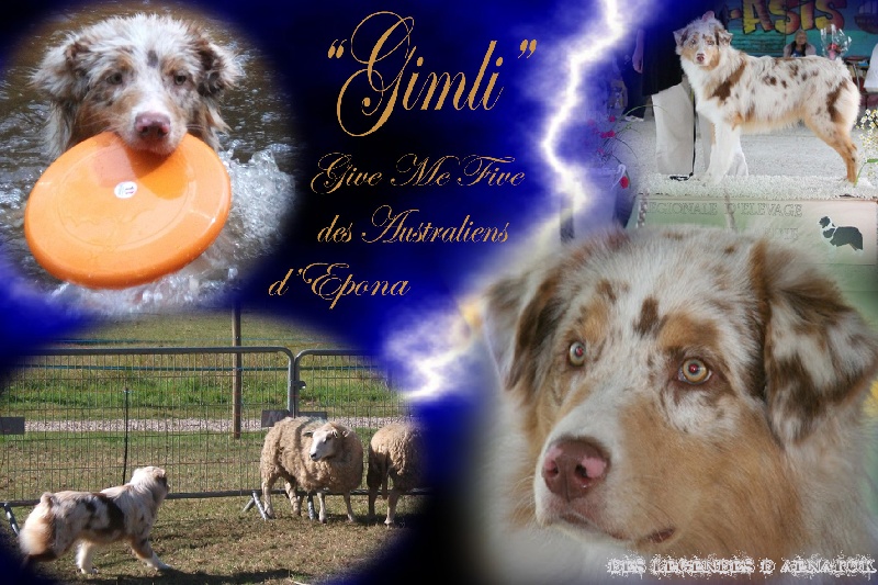 Publication : Des Legendes D'aenarok Auteur : Des Légendes d'Aenarok