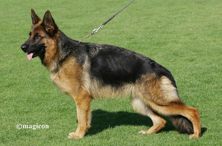 Publication : de l'Alda