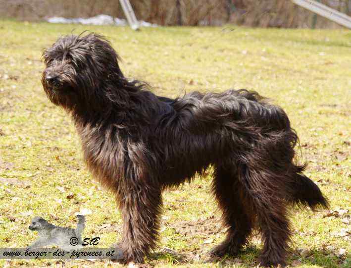 Publication : Von Der Happy Horse Farm