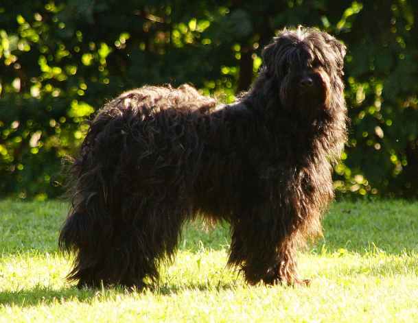 Publication : Von Der Happy Horse Farm