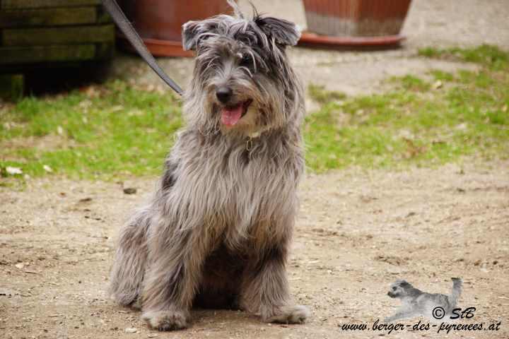 Publication : Von Der Happy Horse Farm