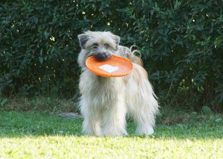 Publication : Von Der Happy Horse Farm