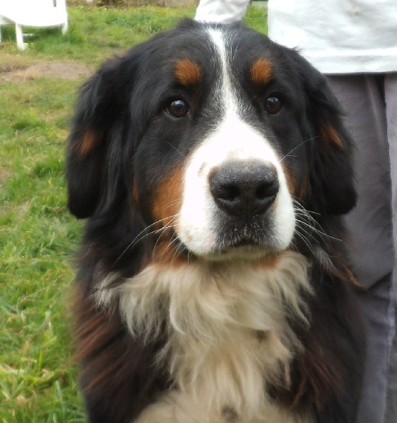 Publication : des Gros Coeurs 