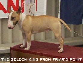 Publication : Higher Hope Auteur : BD