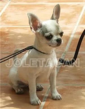 Catherine de joletacan