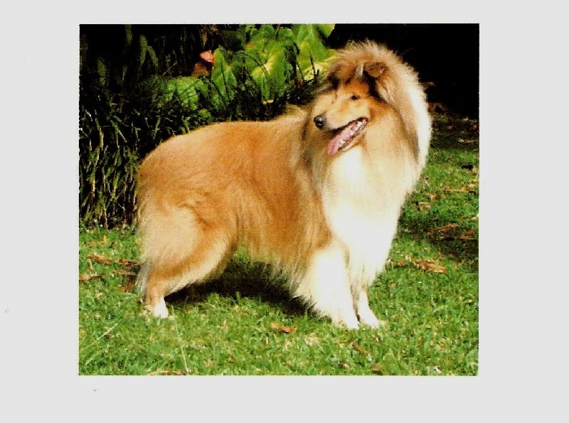 Unchain my heart Of moon river