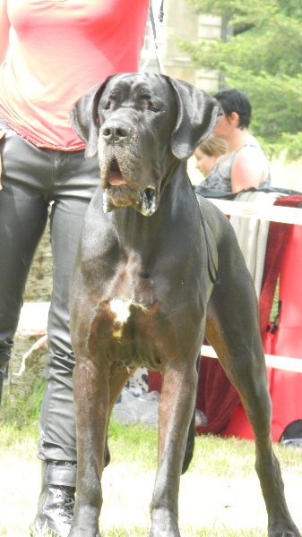 Publication : Du Royaume Des Juvitrida 