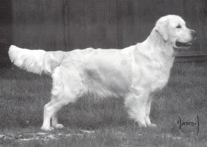 CH. tamarley Tripleecho