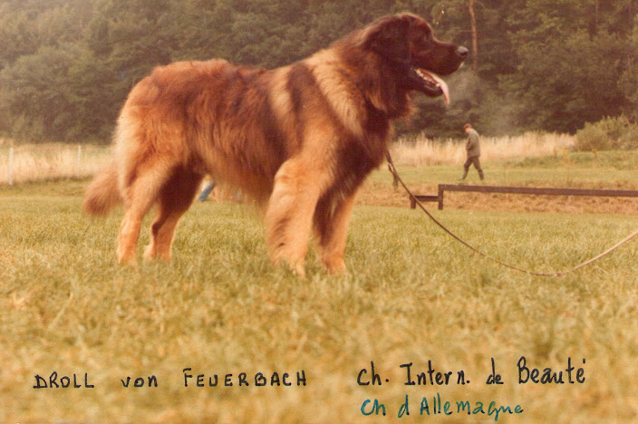 CH. Droll Von feuerbach