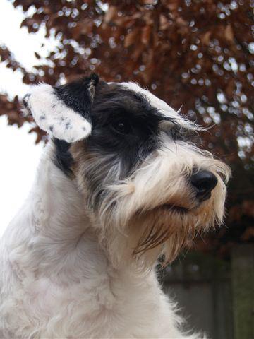 Publication : R u kidding me Auteur : I. schotel