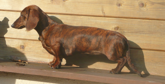 Publication : de la Garenne en Hurepoix 