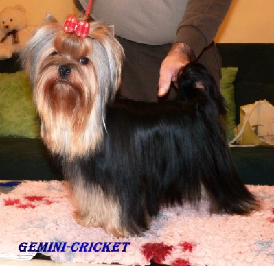 Auteur : michèle cardinet