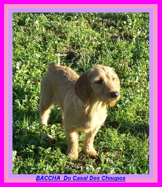 Publication : du Rocher des deux Frères 