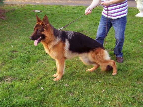 Gary Vom haus thalie