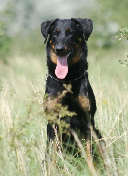 Publication : Garde De La Vie 