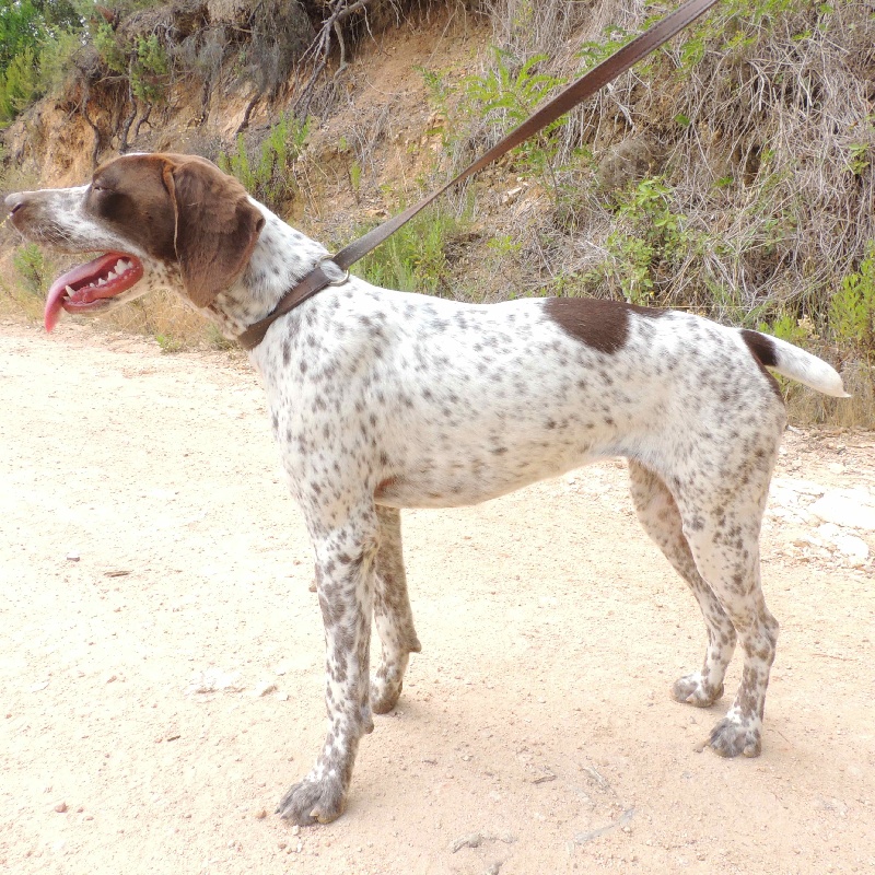 CH. Gana Des puits de rians