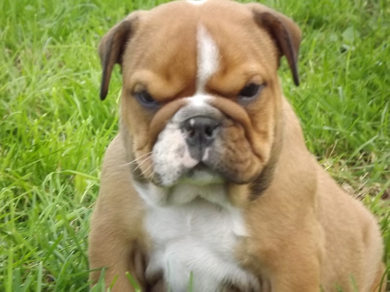 Publication : du royaume de nati