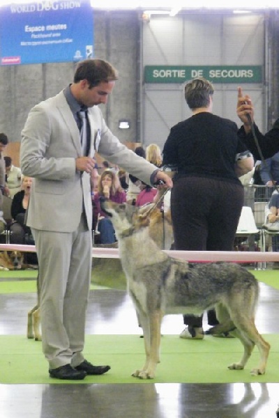 Publication : Adixatz 