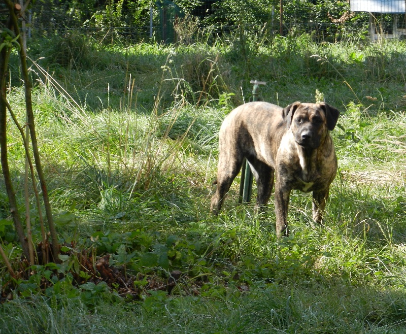 Publication : Del Paraiso Del Canario 