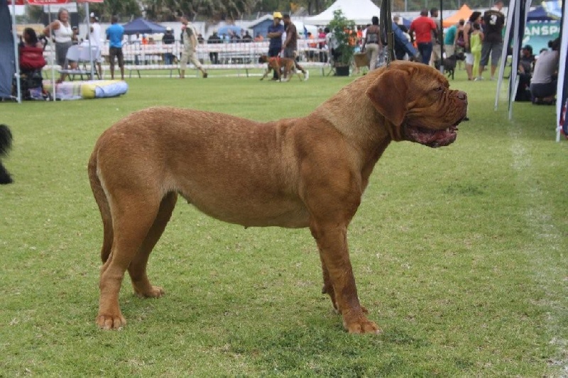 Publication : Du Cap De La Petite Ile 