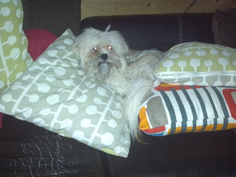 Publication : De Monterminod 