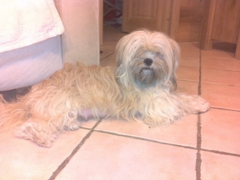 Publication : De Monterminod